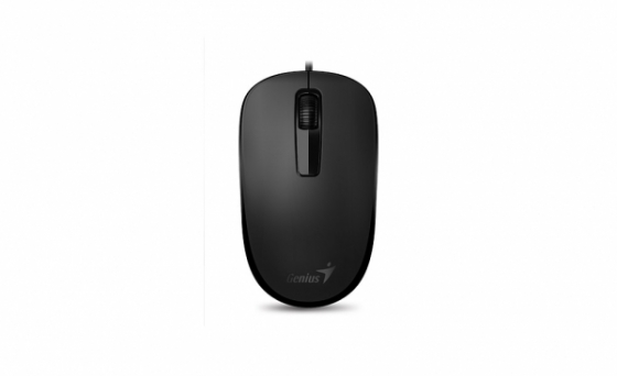 Mouse Genius NetScroll DX-125 (USB, Black)