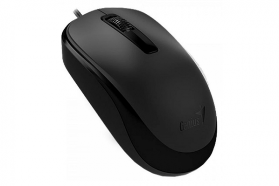 Mouse Genius NetScroll DX-125 (USB, Black)