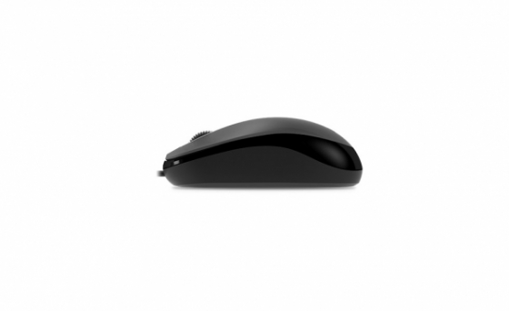 Mouse Genius NetScroll DX-125 (USB, Black)