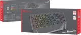 Keyboard Genesis NKG-1727 RHOD 350 RGB, Backlight, Gaming (USB, US Layout)